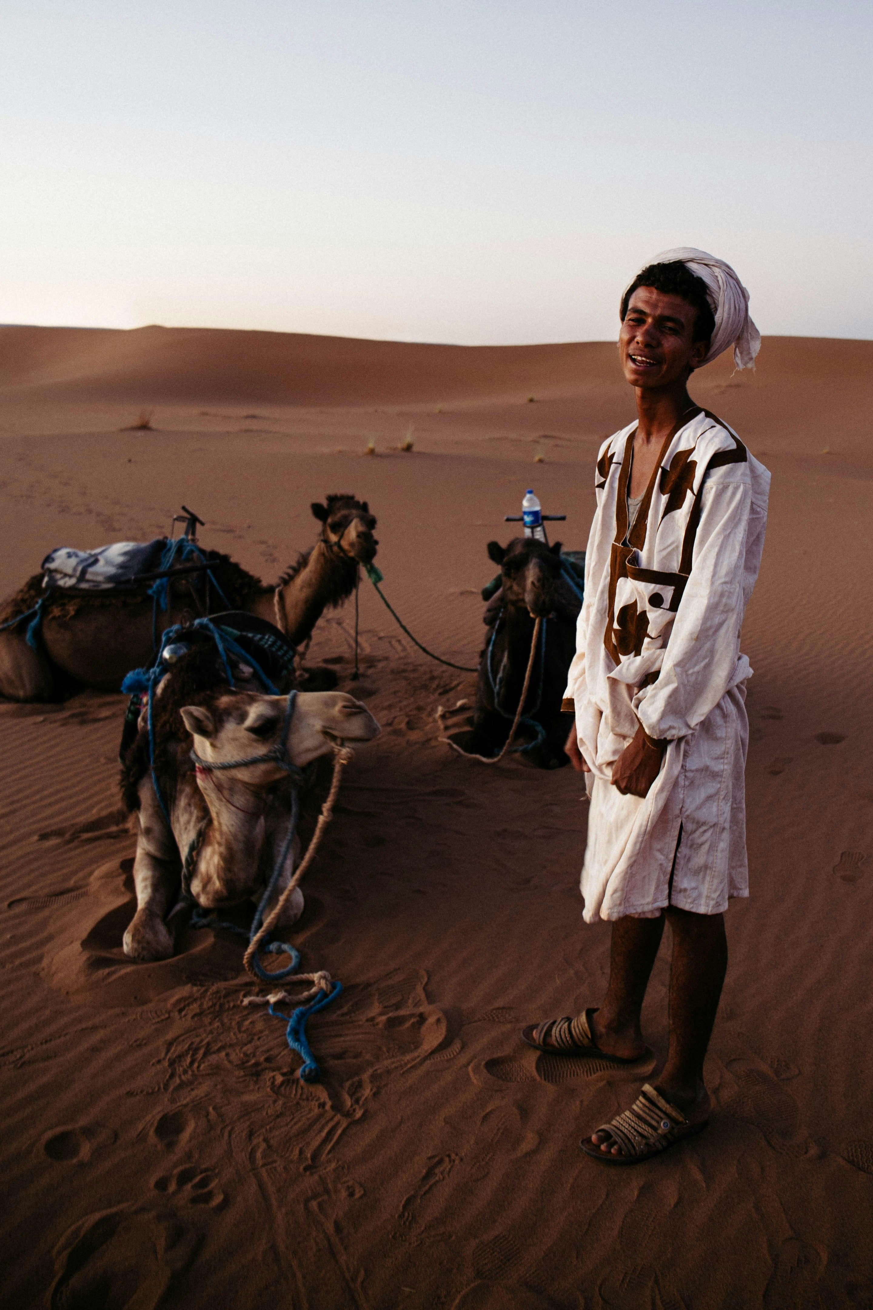 man standing near resting camels at the desert during day